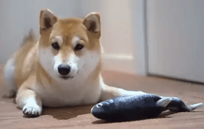 RoyaleGlow USB Floppy Fish Toy for Cats and Dogs