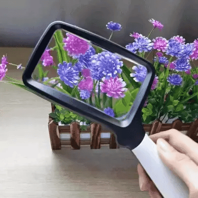 Royaleva Reading Magnifier With LED Lighting, 3x Optical Lens