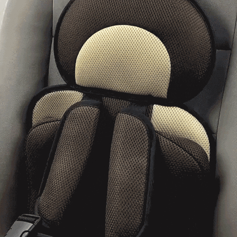 Luxora Child Protection Car Cushion Seat for Kids 0-12