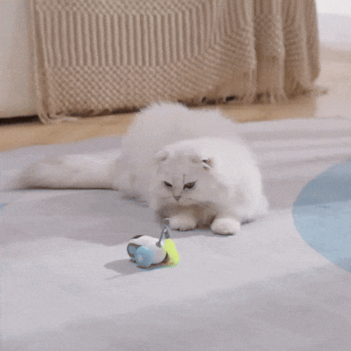 Royallure Smart Interactive Cat Toy with Remote Control – USB-C, 8-Hr Play, Obstacle Avoidance
