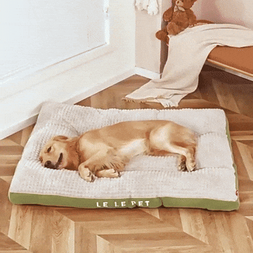 Royallure Ultra-Comfort Dog Bed – Ultimate Comfort & Joint Support for Large Breeds & Seniors