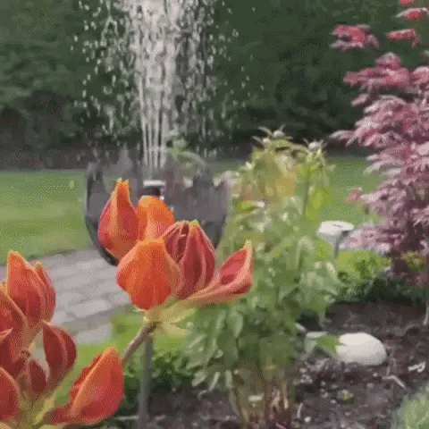 Royallure Solar-Powered Bird Bath Fountain - Eco-Friendly Outdoor Water Feature for Garden Bird Attraction