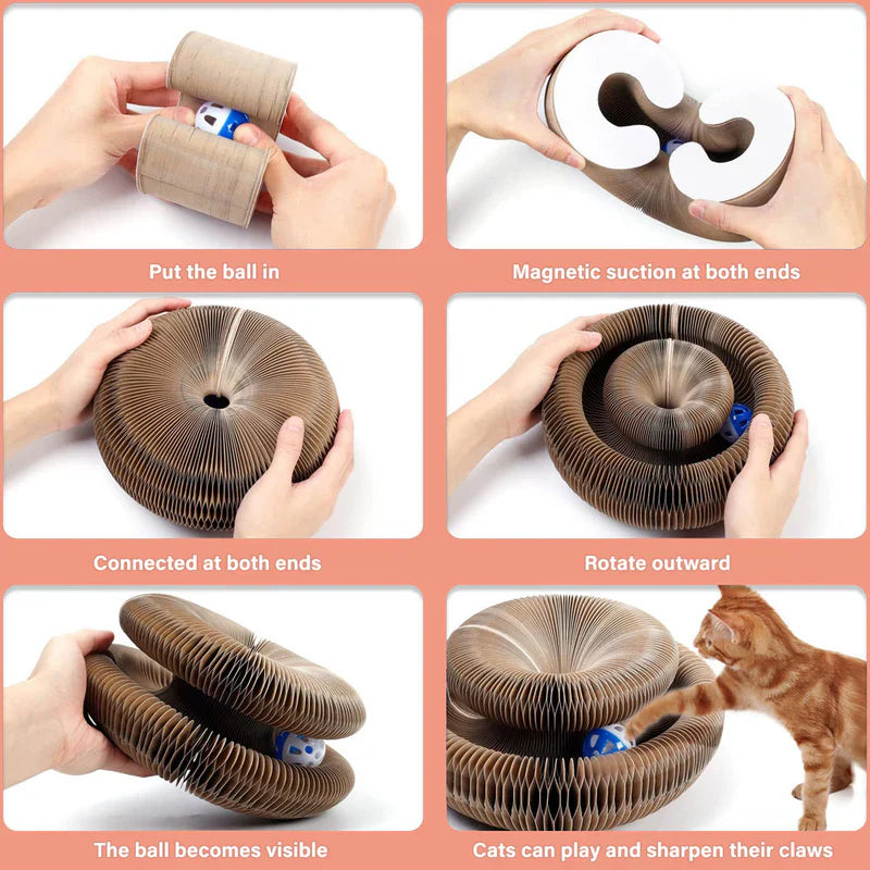Furora Expandable Cat Scratcher Toy with Interactive Ball Track & Cozy Bed