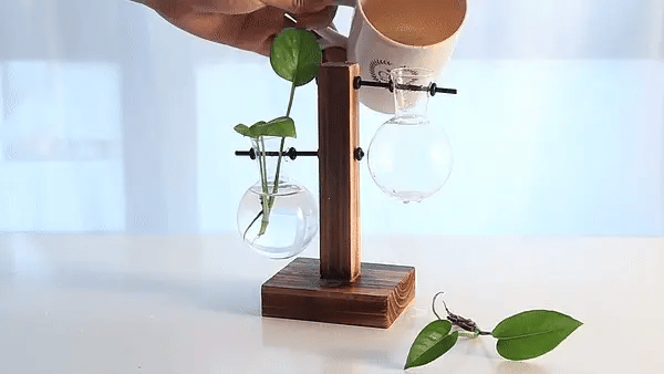 Luxora Wooden Frame Hydroponic Plant Vase for Home Decor