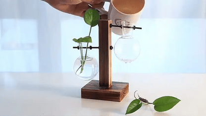 Luxora Wooden Frame Hydroponic Plant Vase for Home Decor