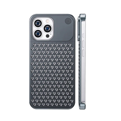 RoyaleGlow Aromatherapy Aluminum Alloy Case for Essential Oils