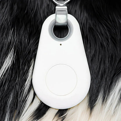 Rayvia Pets Smart Waterproof GPS Tracker for Dogs Cats