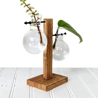 Luxora Wooden Frame Hydroponic Plant Vase for Home Decor