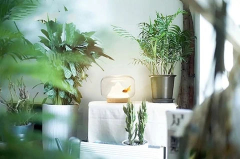 RoyaleGlow Mountain Aquarium Lamp - Unique LED Night Light & Desktop Decor