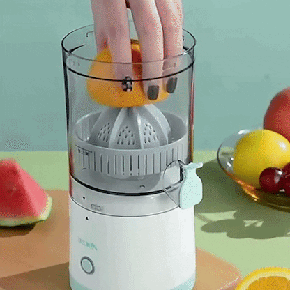Royaleva USB Charging Portable Juicer for Fresh Juice Anytime