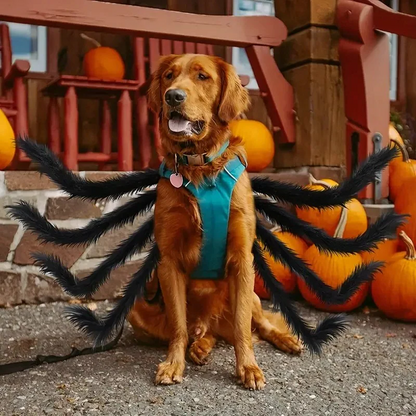 RoyaleGlow Pet Funny Spider Costume for Halloween Fun