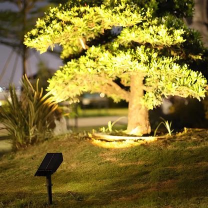 RoyaleGlow Waterproof LED Solar Multi-zoom Spot Light RGB