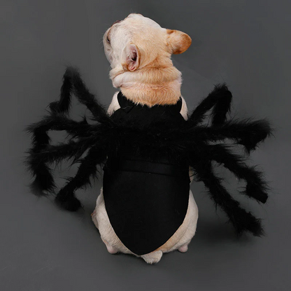 RoyaleGlow Pet Funny Spider Costume for Halloween Fun