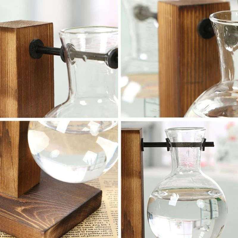 Luxora Wooden Frame Hydroponic Plant Vase for Home Decor