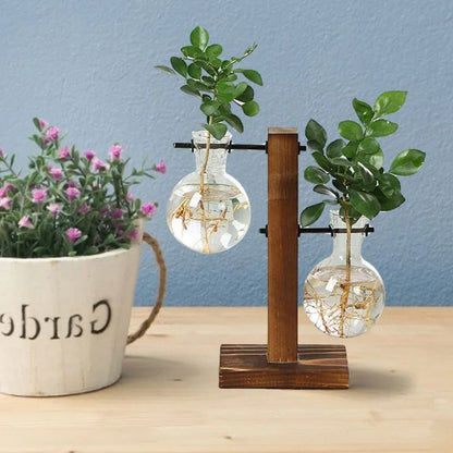 Luxora Wooden Frame Hydroponic Plant Vase for Home Decor