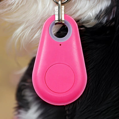 Rayvia Pets Smart Waterproof GPS Tracker for Dogs Cats