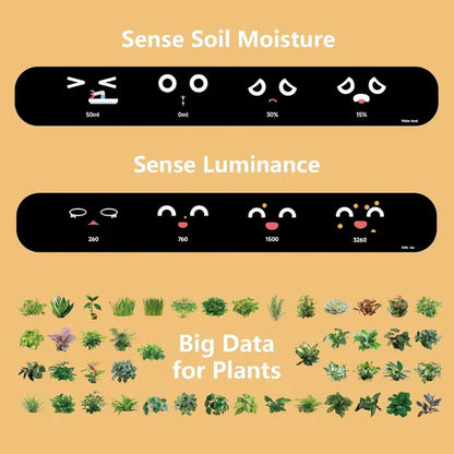 Royaleva Smart Plant Pot Ivy - Innovative Plant Care