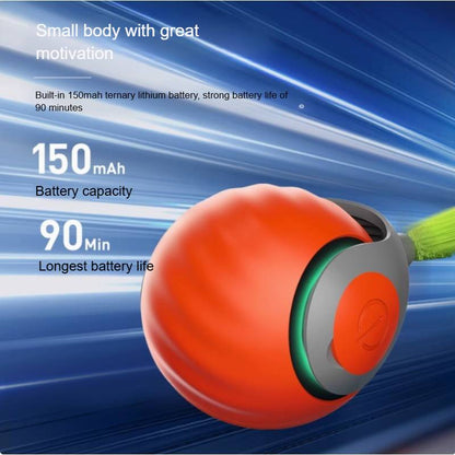 RoyaleGlow Interactive Cat Toys For Indoor Cats 360° Motion