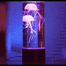 RoyaleGlow Jellyfish LED Lamp & Aquarium for Relaxation