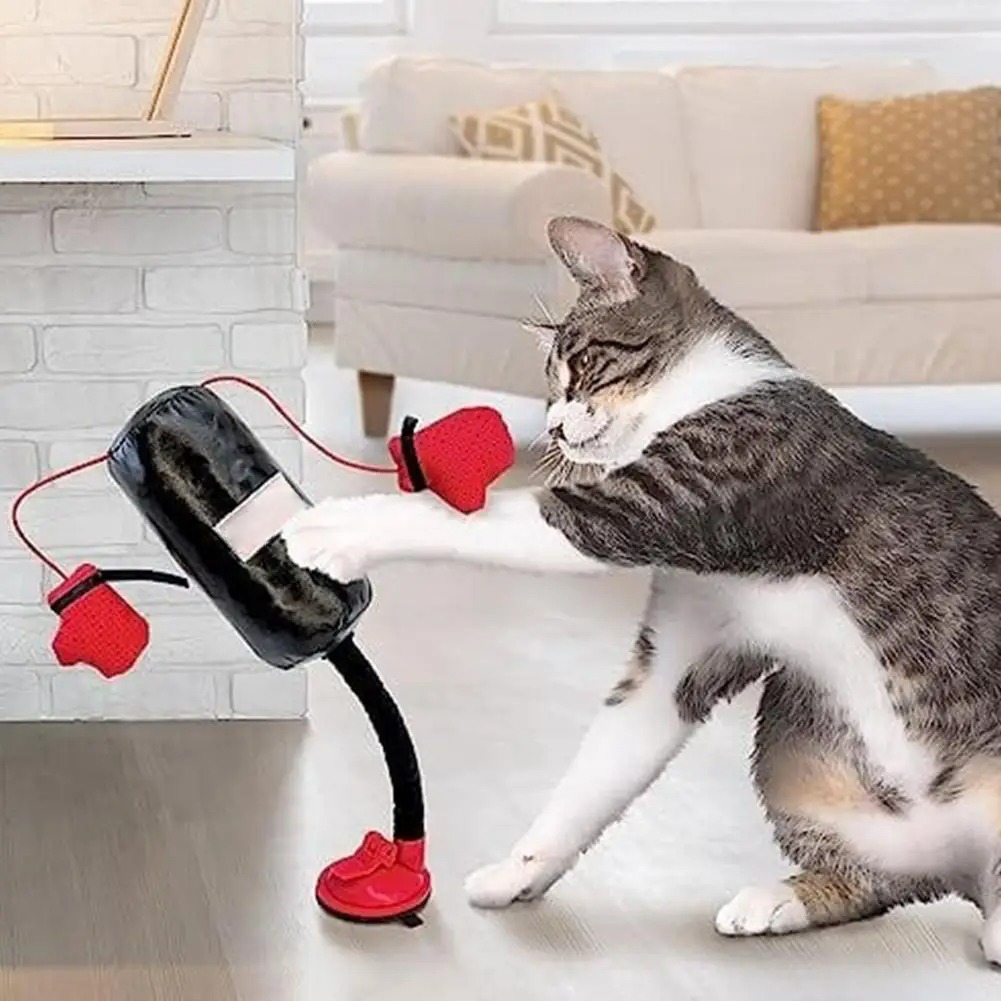 Royaleva Interactive Cat Toys with Spring-Loaded Action