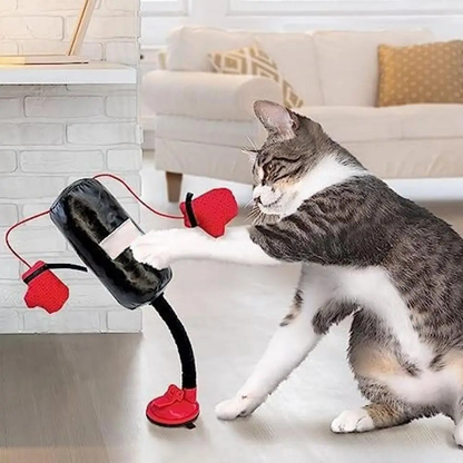 Royaleva Interactive Cat Toys with Spring-Loaded Action