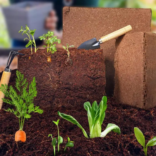  PlantBloom Organic Coconut Coir – 100% Natural, Biodegradable, and Sustainable Soil Alternative for Healthy Plant Growth, Superior Water Retention & Root Strength