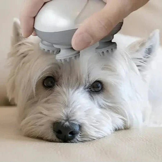 RoyaleGlow Pet Massager for Dogs and Cats Comfort