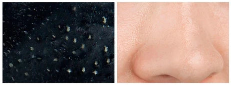 Luxora Blackhead Mask for Clearer, Radiant Skin 50g