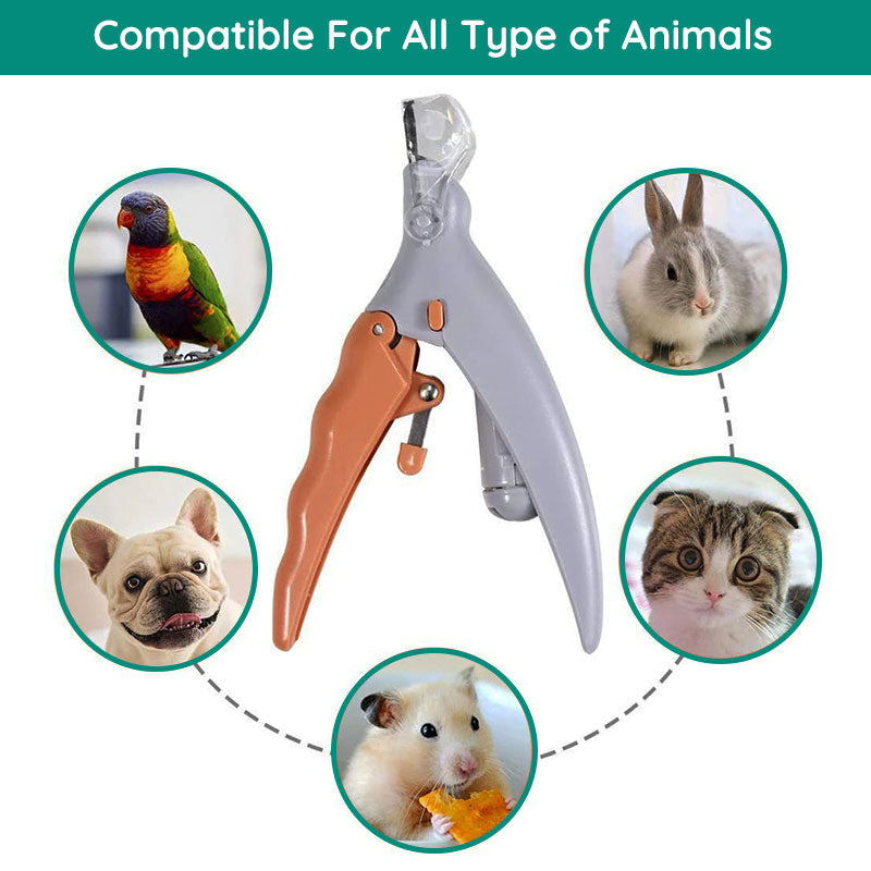 Royaleva Best Dog Nail Clipper With Quick Sensors Safe Trim