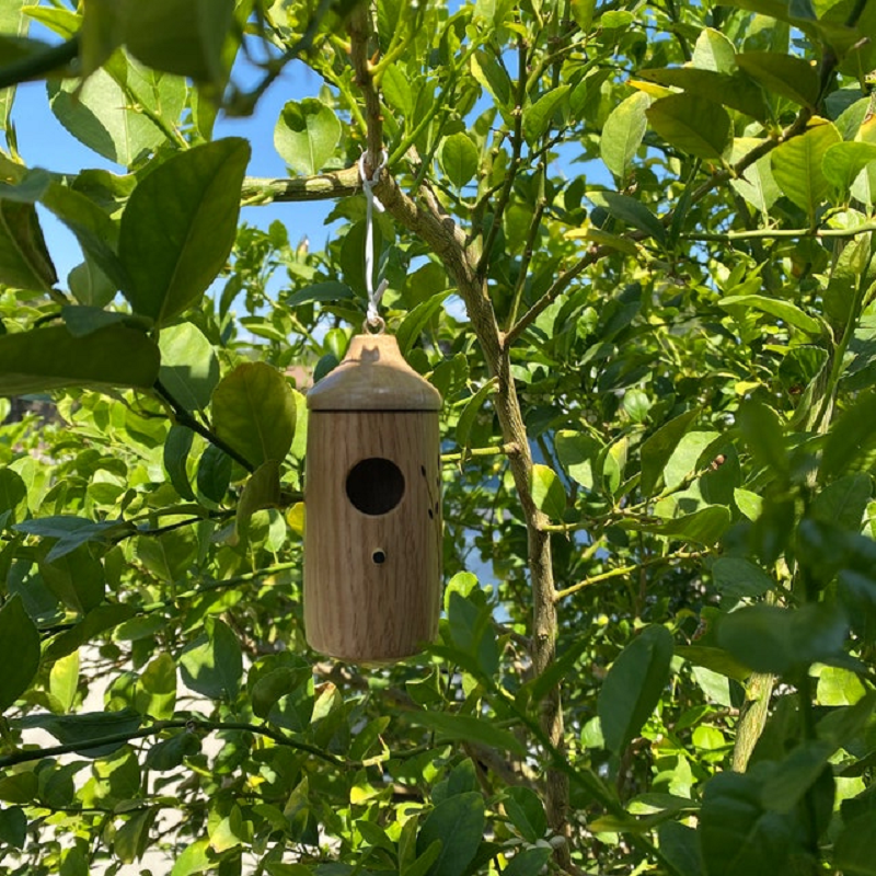 Luxora Wooden Hummingbird House - Gift for Natural Lovers