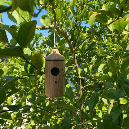 Luxora Wooden Hummingbird House - Gift for Natural Lovers