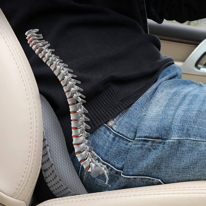 Royaleva Car Booster Seat Cushion For Adult - Ergonomic Support