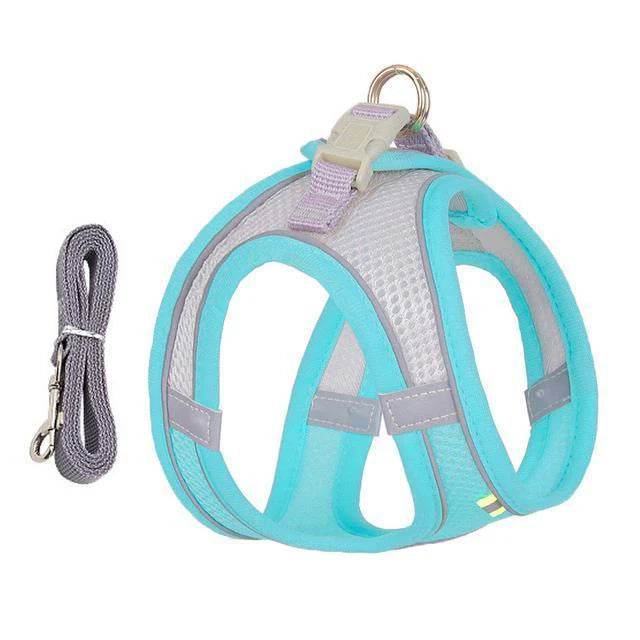 Royaleva Adjustable Harness and Leash Set for Small Dogs and Cats