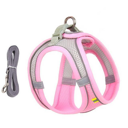 Royaleva Adjustable Harness and Leash Set for Small Dogs and Cats