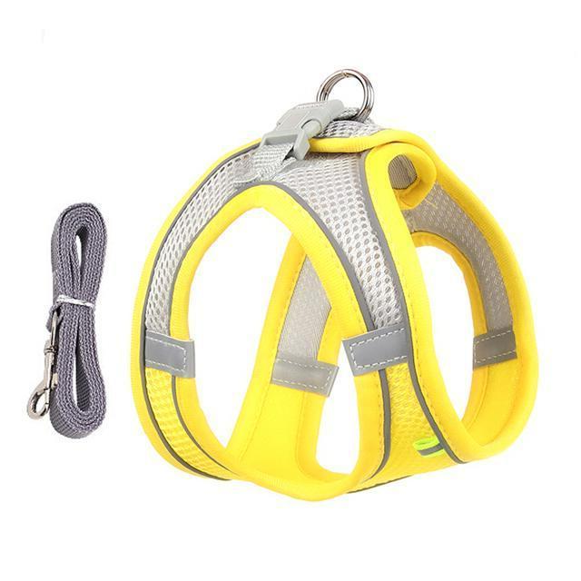 Royaleva Adjustable Harness and Leash Set for Small Dogs and Cats