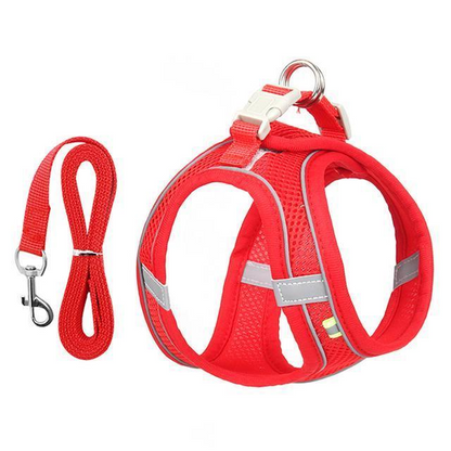 Royaleva Adjustable Harness and Leash Set for Small Dogs and Cats