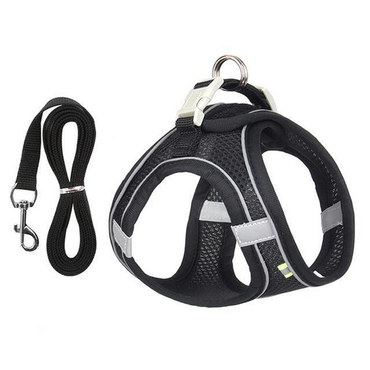 Royaleva Adjustable Harness and Leash Set for Small Dogs and Cats
