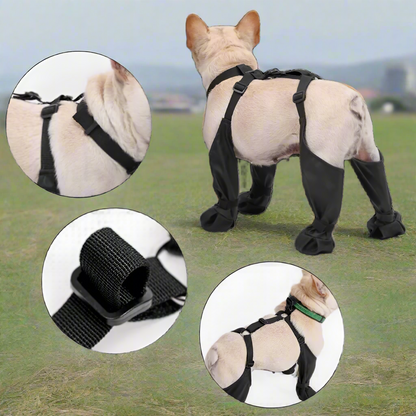 Royaleva Waterproof Dog Suspenders Boots for All Breeds