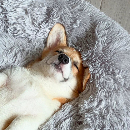 Luxora Calming Dog Bed for Stress Relief and Comfort