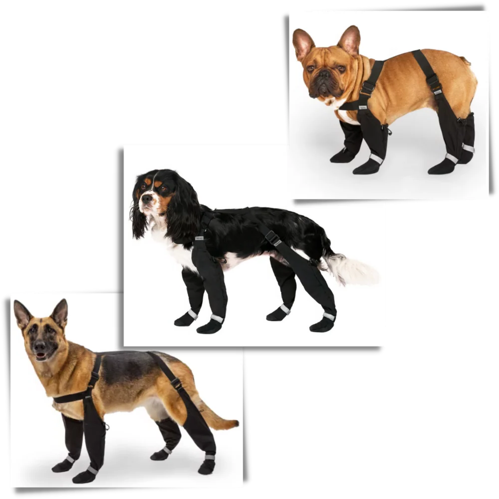 Royaleva Waterproof Dog Suspenders Boots for All Breeds