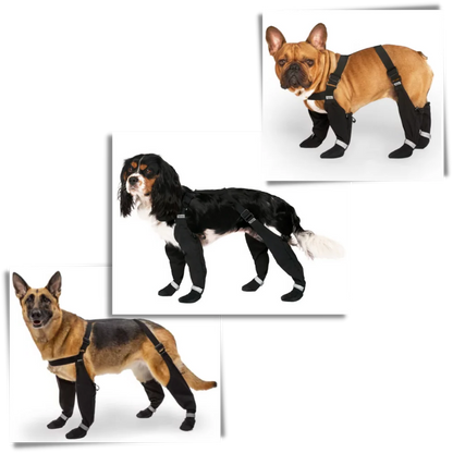 Royaleva Waterproof Dog Suspenders Boots for All Breeds