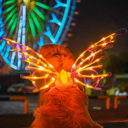 RoyaleGlow Electric Colorful Kids Adults LED Fairy Wings Costume