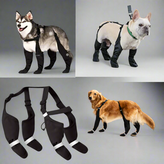 Waterproof dog suspenders boots with anti-loss design, non-slip sole, and adjustable fit for all breeds. Provides full-leg protection, seasonal comfort, and reflective safety straps for secure outdoor adventures.