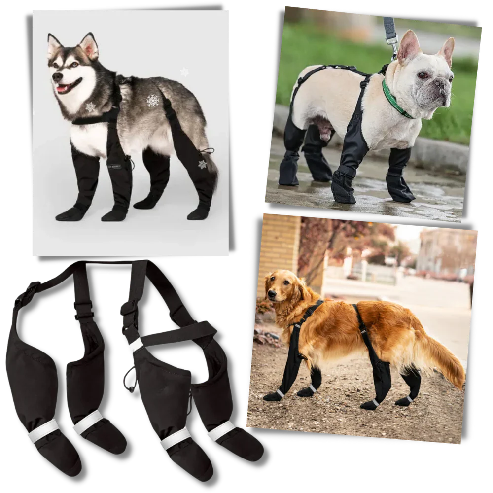 Royaleva Waterproof Dog Suspenders Boots for All Breeds