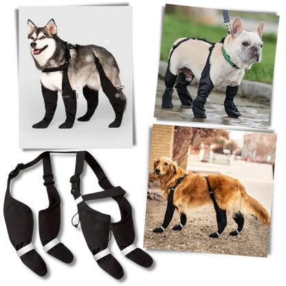 Royaleva Waterproof Dog Suspenders Boots for All Breeds
