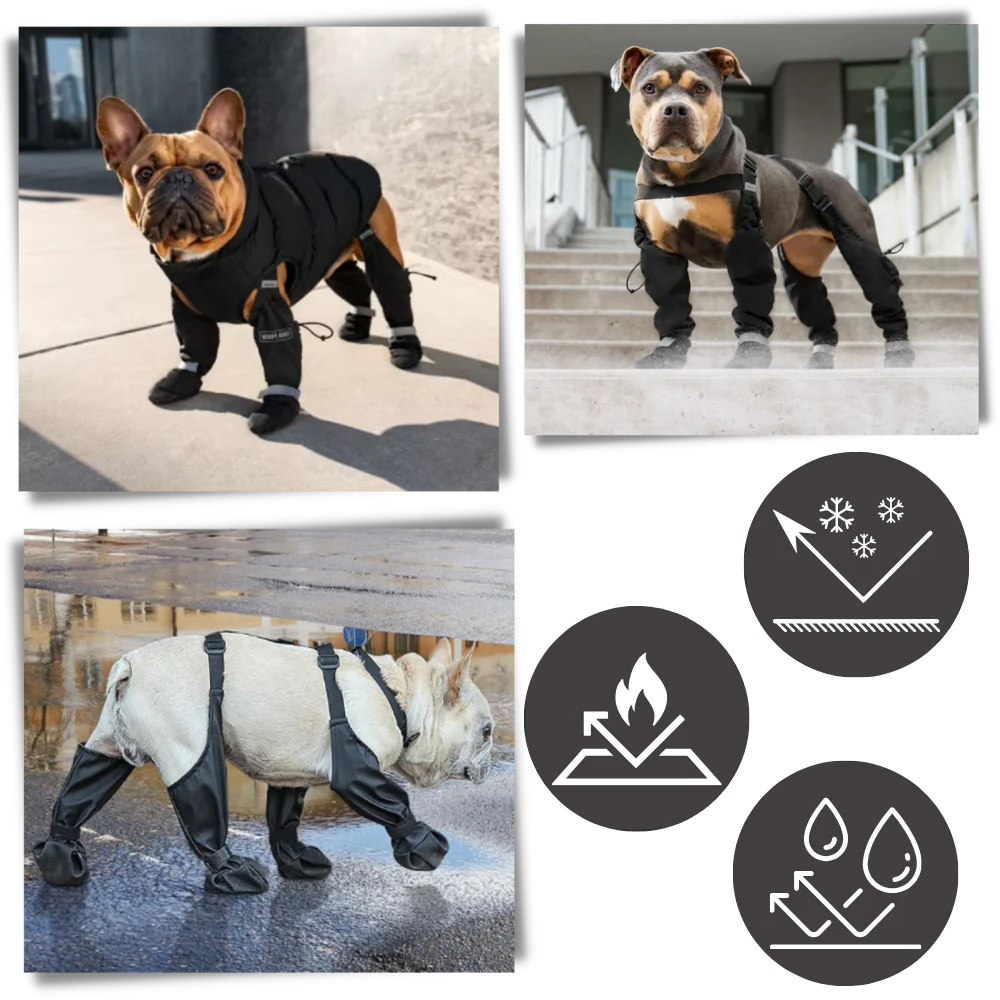 Royaleva Waterproof Dog Suspenders Boots for All Breeds