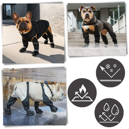 Royaleva Waterproof Dog Suspenders Boots for All Breeds