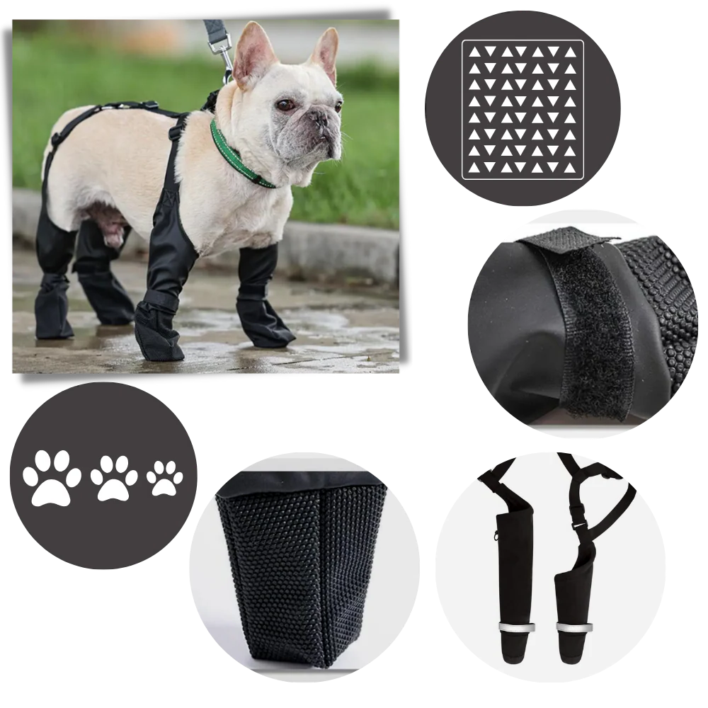 Royaleva Waterproof Dog Suspenders Boots for All Breeds