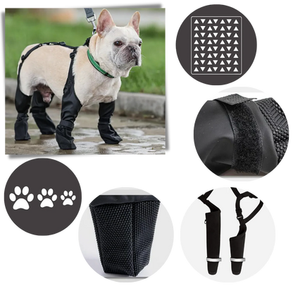 Royaleva Waterproof Dog Suspenders Boots for All Breeds