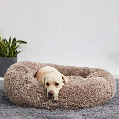 Luxora Calming Dog Bed for Stress Relief and Comfort